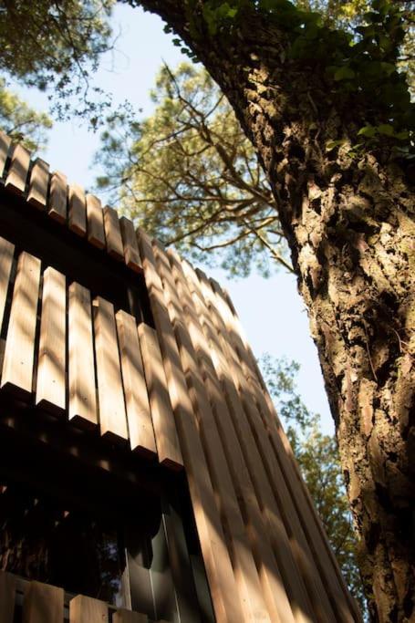 Vaimiti, Cabane Cosy Sous Les Pins Saint-Brévin-les-Pins Kültér fotó