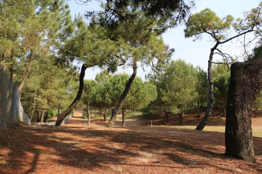 Vaimiti, Cabane Cosy Sous Les Pins Saint-Brévin-les-Pins Kültér fotó